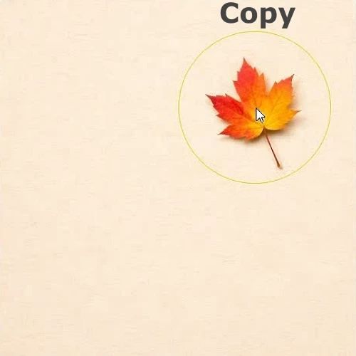 Link to Clone Stamp Tool.